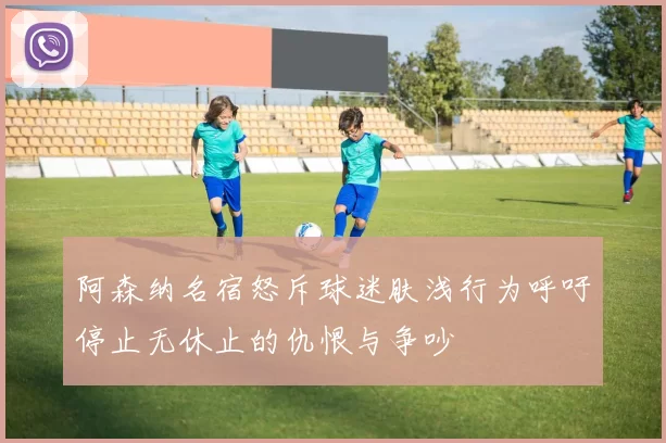 阿森纳名宿怒斥球迷肤浅行为呼吁停止无休止的仇恨与争吵