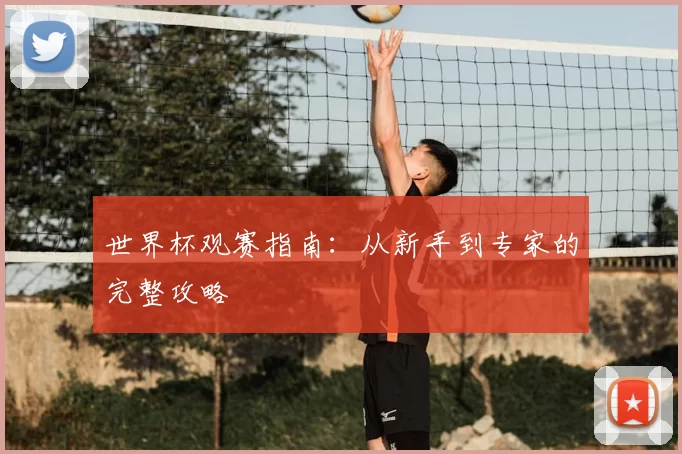 世界杯观赛指南:从新手到专家的完整攻略