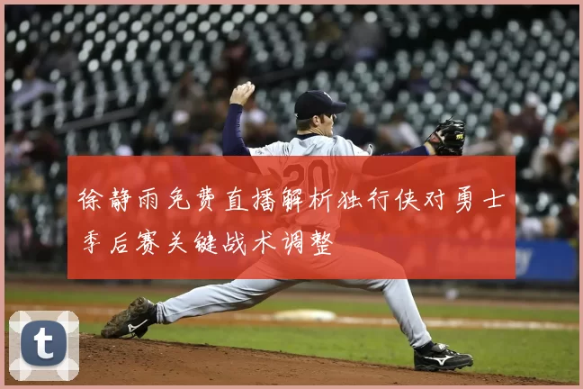 徐静雨免费直播解析独行侠对勇士季后赛关键战术调整