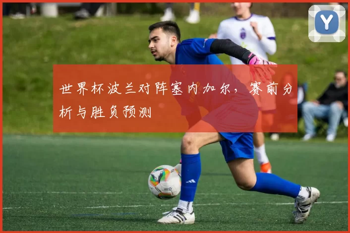 世界杯波兰对阵塞内加尔,赛前分析与胜负预测
