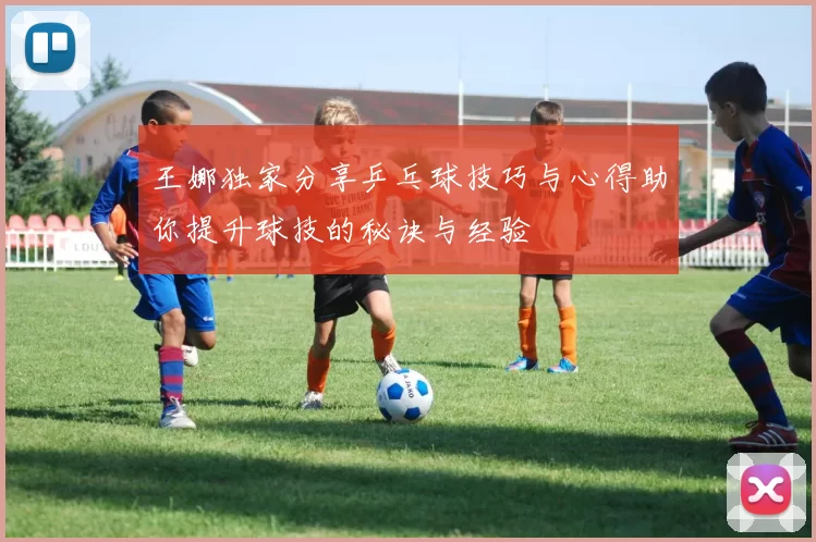 王娜独家分享乒乓球技巧与心得助你提升球技的秘诀与经验