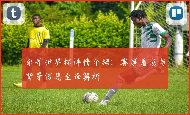 杀手世界杯详情介绍:赛事看点与背景信息全面解析