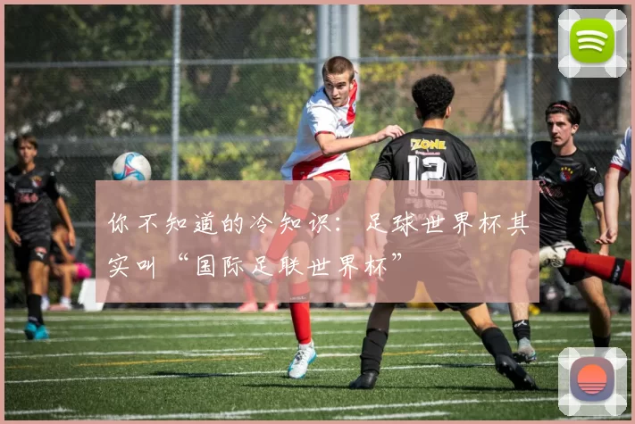 你不知道的冷知识:足球世界杯其实叫“国际足联世界杯”