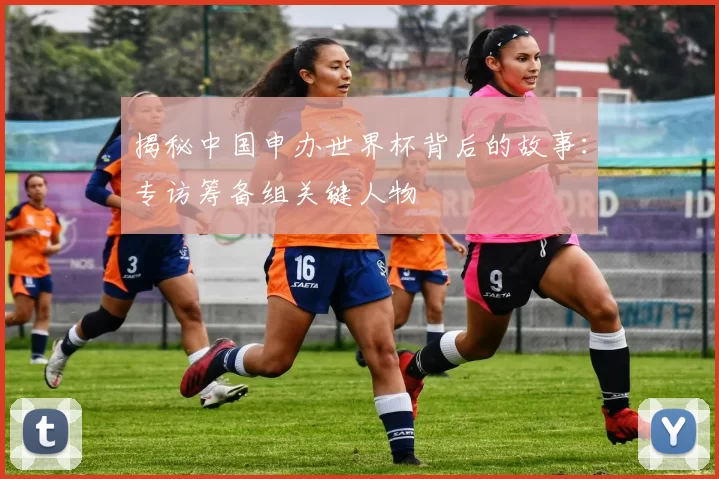 揭秘中国申办世界杯背后的故事：专访筹备组关键人物