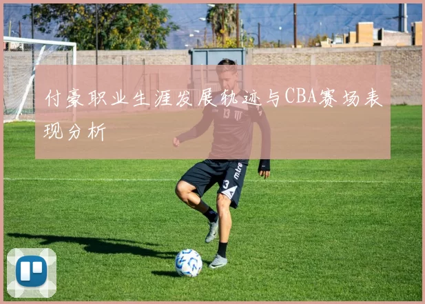 付豪职业生涯发展轨迹与CBA赛场表现分析