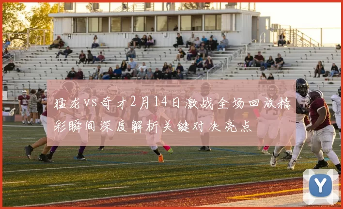 猛龙vs奇才2月14日激战全场回放精彩瞬间深度解析关键对决亮点