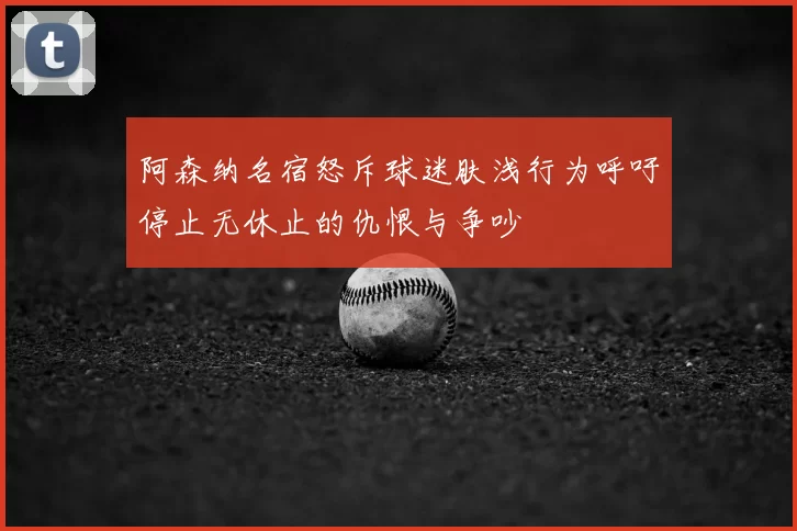 阿森纳名宿怒斥球迷肤浅行为呼吁停止无休止的仇恨与争吵