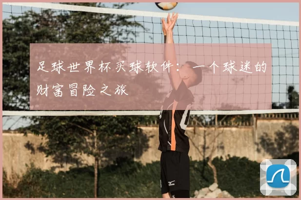 足球世界杯买球软件：一个球迷的财富冒险之旅