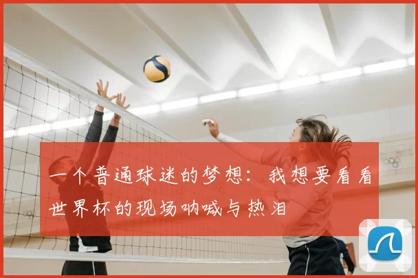 一个普通球迷的梦想：我想要看看世界杯的现场呐喊与热泪