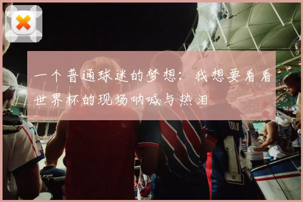 一个普通球迷的梦想：我想要看看世界杯的现场呐喊与热泪