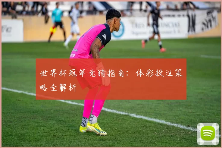 世界杯冠军竞猜指南:体彩投注策略全解析