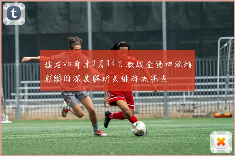 猛龙vs奇才2月14日激战全场回放精彩瞬间深度解析关键对决亮点