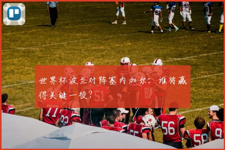 世界杯波兰对阵塞内加尔:谁将赢得关键一役?