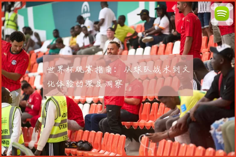 世界杯观赛指南:从球队战术到文化体验的深度洞察
