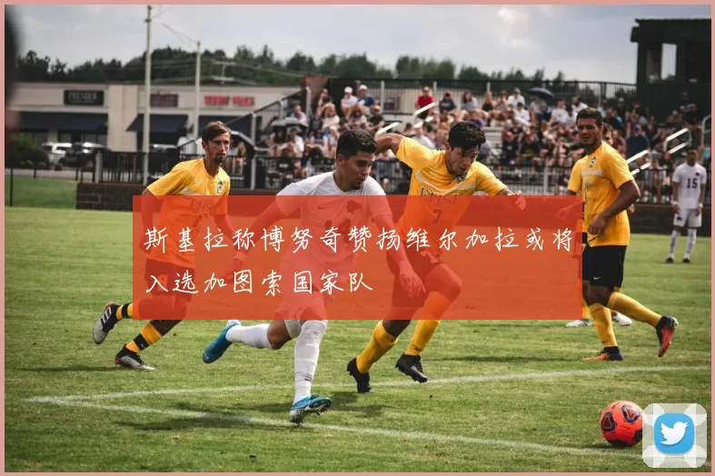 斯基拉称博努奇赞扬维尔加拉或将入选加图索国家队