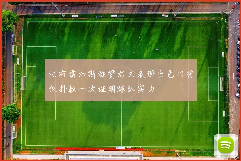 法布雷加斯称赞尤文表现出色门将仅扑救一次证明球队实力