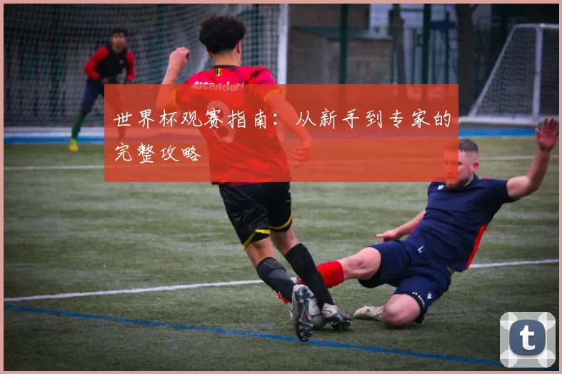 世界杯观赛指南:从新手到专家的完整攻略