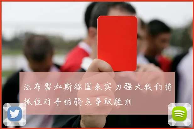 法布雷加斯称国米实力强大我们将抓住对手的弱点争取胜利