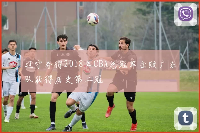 辽宁夺得2018年CBA总冠军击败广东队获得历史第二冠