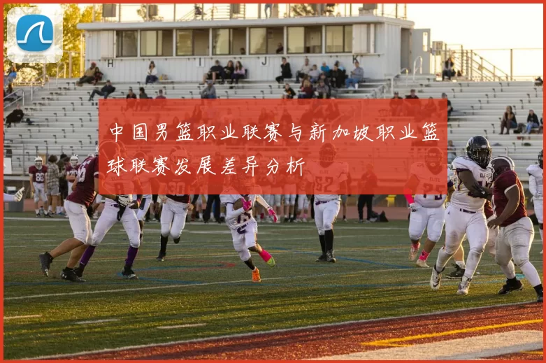 中国男篮职业联赛与新加坡职业篮球联赛发展差异分析