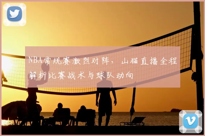 NBA常规赛激烈对阵,山猫直播全程解析比赛战术与球队动向