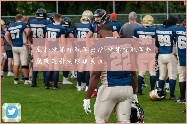 虎扑世界杯冠军出炉 世界杯冠军归属确定引发球迷关注