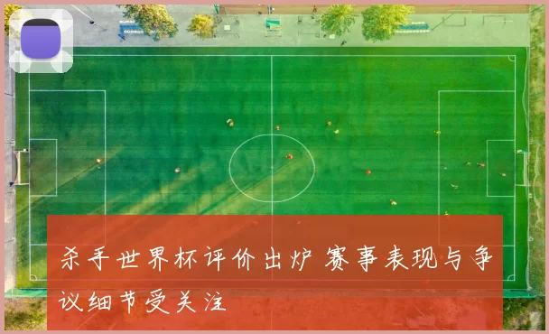 杀手世界杯评价出炉 赛事表现与争议细节受关注