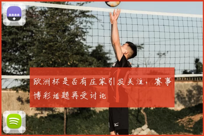欧洲杯是否有庄家引发关注，赛事博彩话题再受讨论