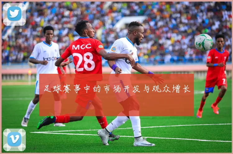 足球赛事中的市场开发与观众增长