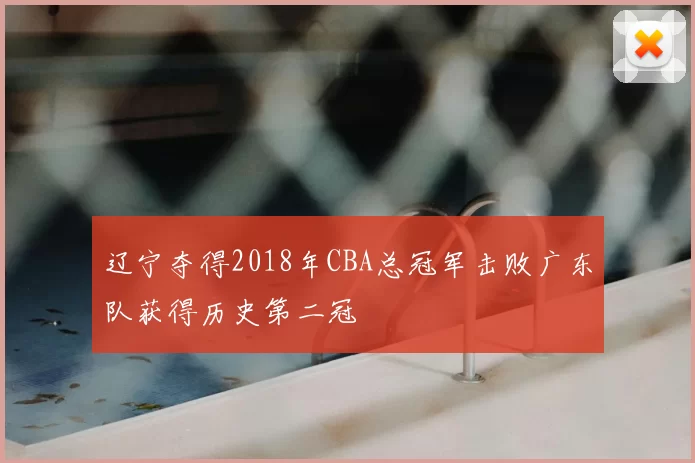 辽宁夺得2018年CBA总冠军击败广东队获得历史第二冠