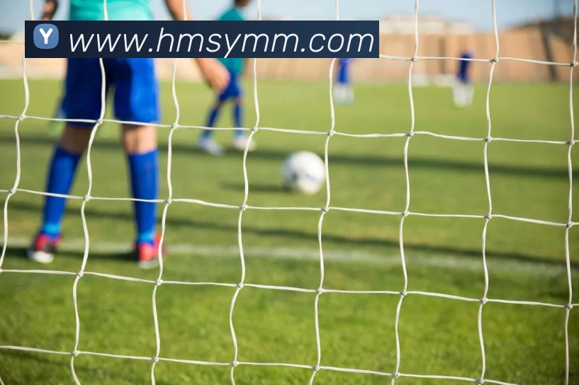 法甲赛季最佳前锋球员：法甲赛季最佳前锋球员排名与表现回顾